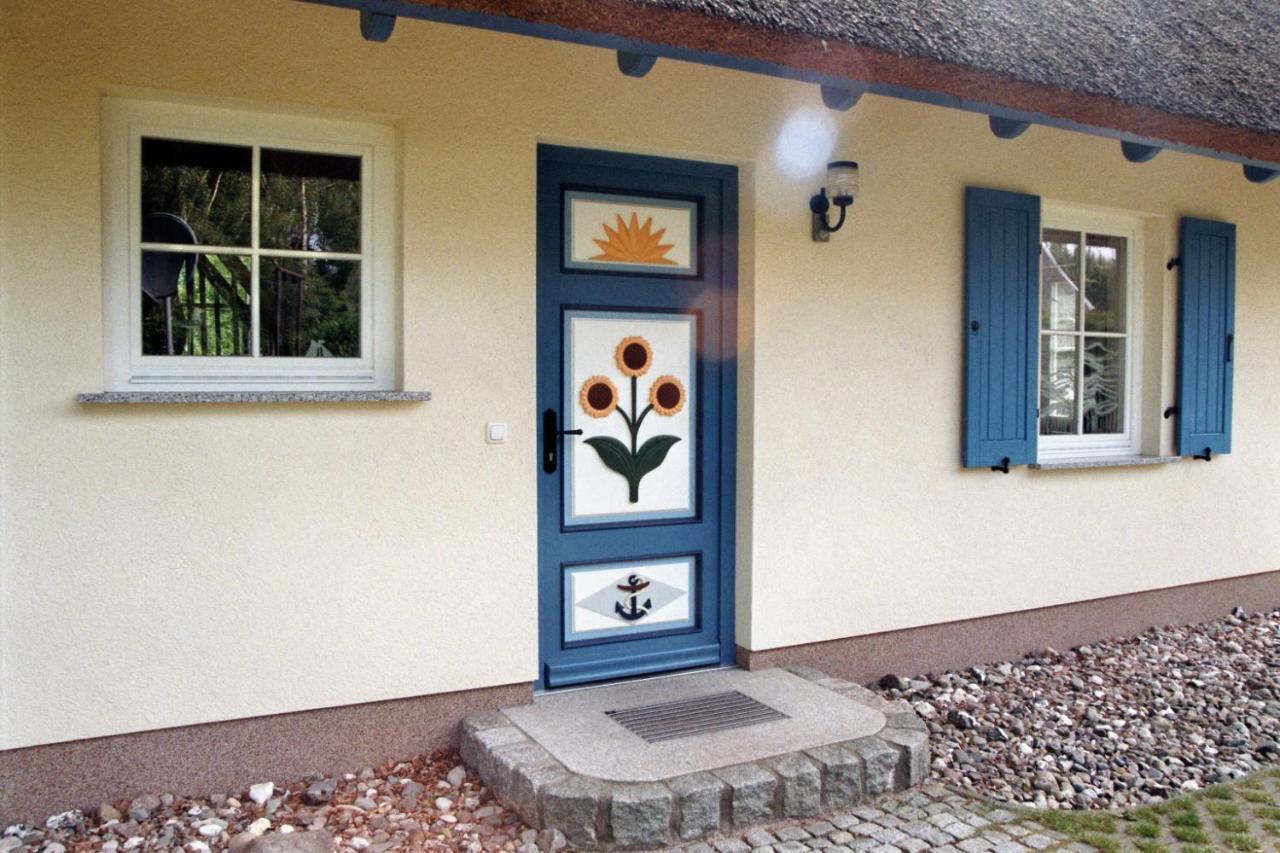 Ferienhaus Mine Sehnsucht เดียร์ฮาเกิน ภายนอก รูปภาพ